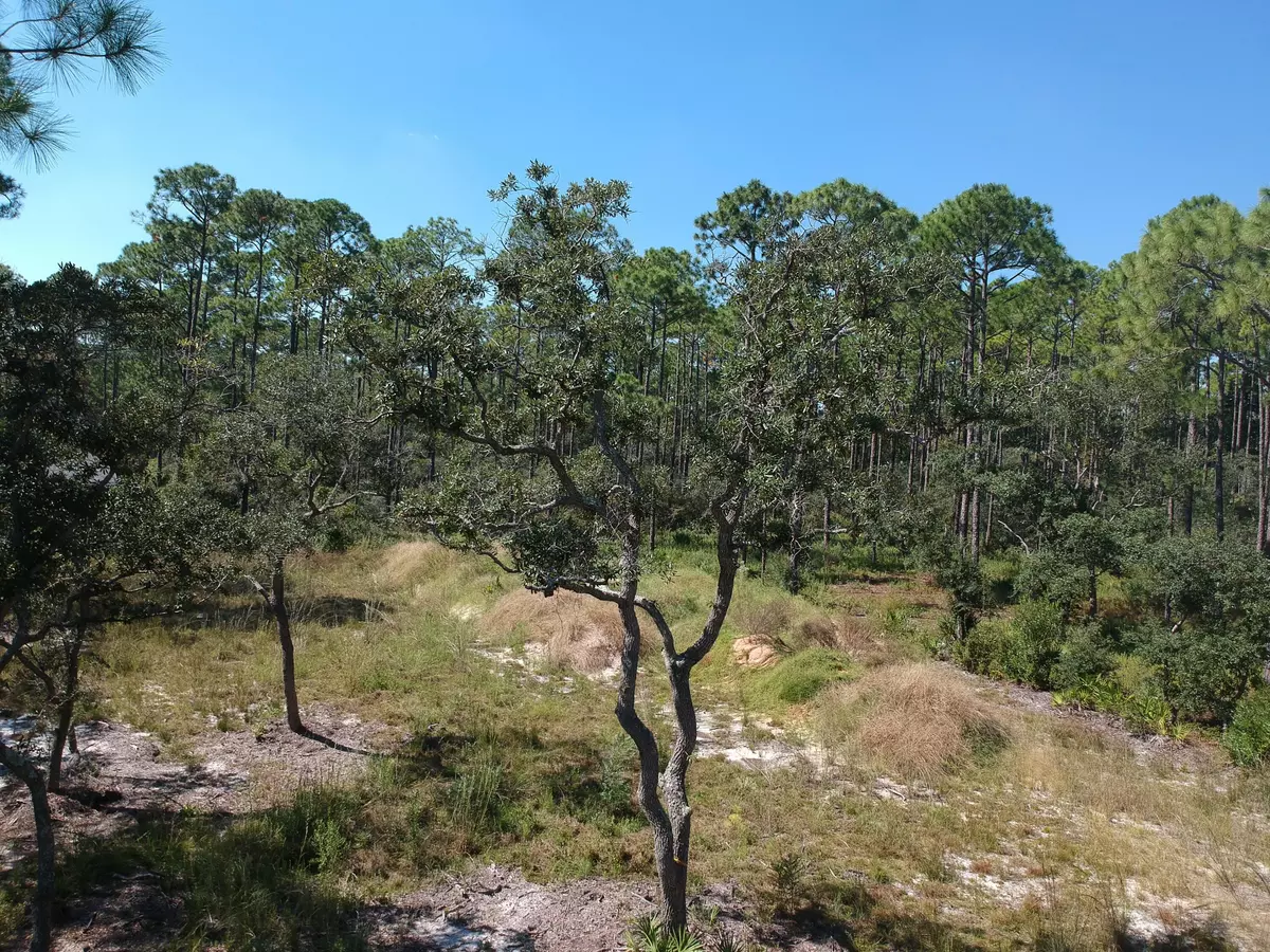 Freeport, FL 32439,Lot 30 Cross Creek Circle