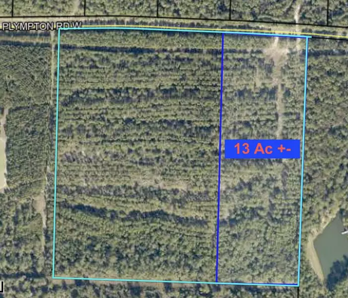 Parcel 1 W Plymton Road, Laurel Hill, FL 32567