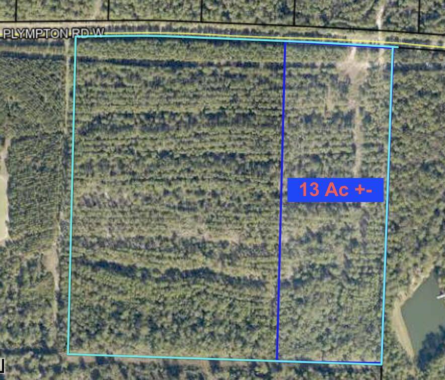 Laurel Hill, FL 32567,Parcel 1 W Plymton Road