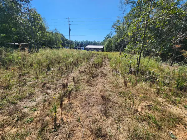 Defuniak Springs, FL 32433,Lot 25 W Royal Palm Avenue