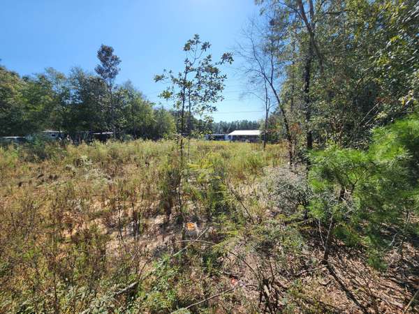 Lot 25 W Royal Palm Avenue, Defuniak Springs, FL 32433