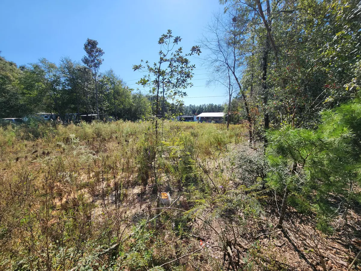 Defuniak Springs, FL 32433,Lot 25 W Royal Palm Avenue