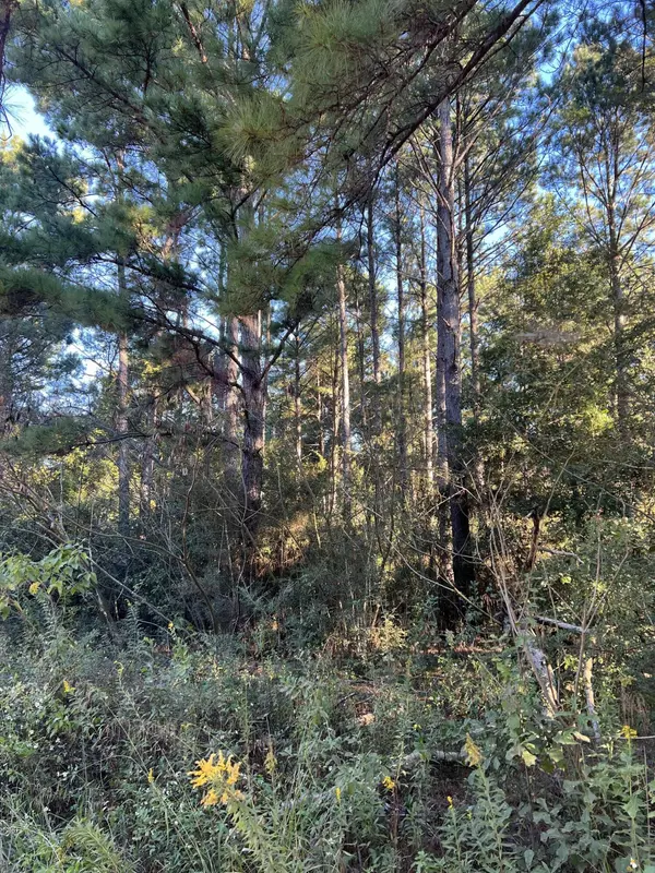 Westville, FL 32464,2 Ac +- Reynolds Lane