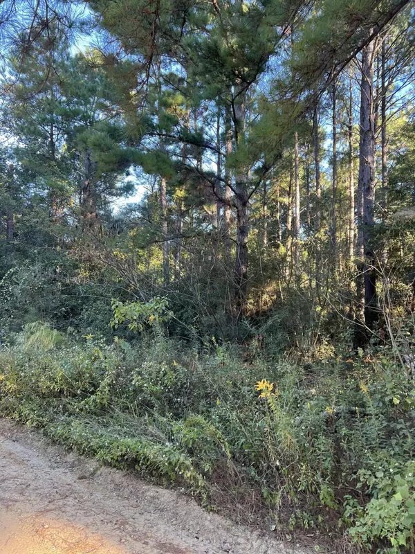 Westville, FL 32464,2 Ac +- Reynolds Lane