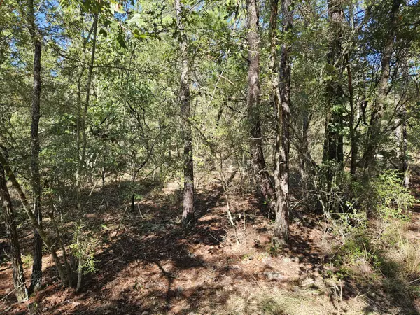Defuniak Springs, FL 32433,.69 Acre E Dogwood East Avenue