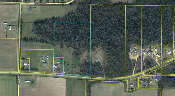 Marianna, FL 32448,13.7 Acres Alliance Road