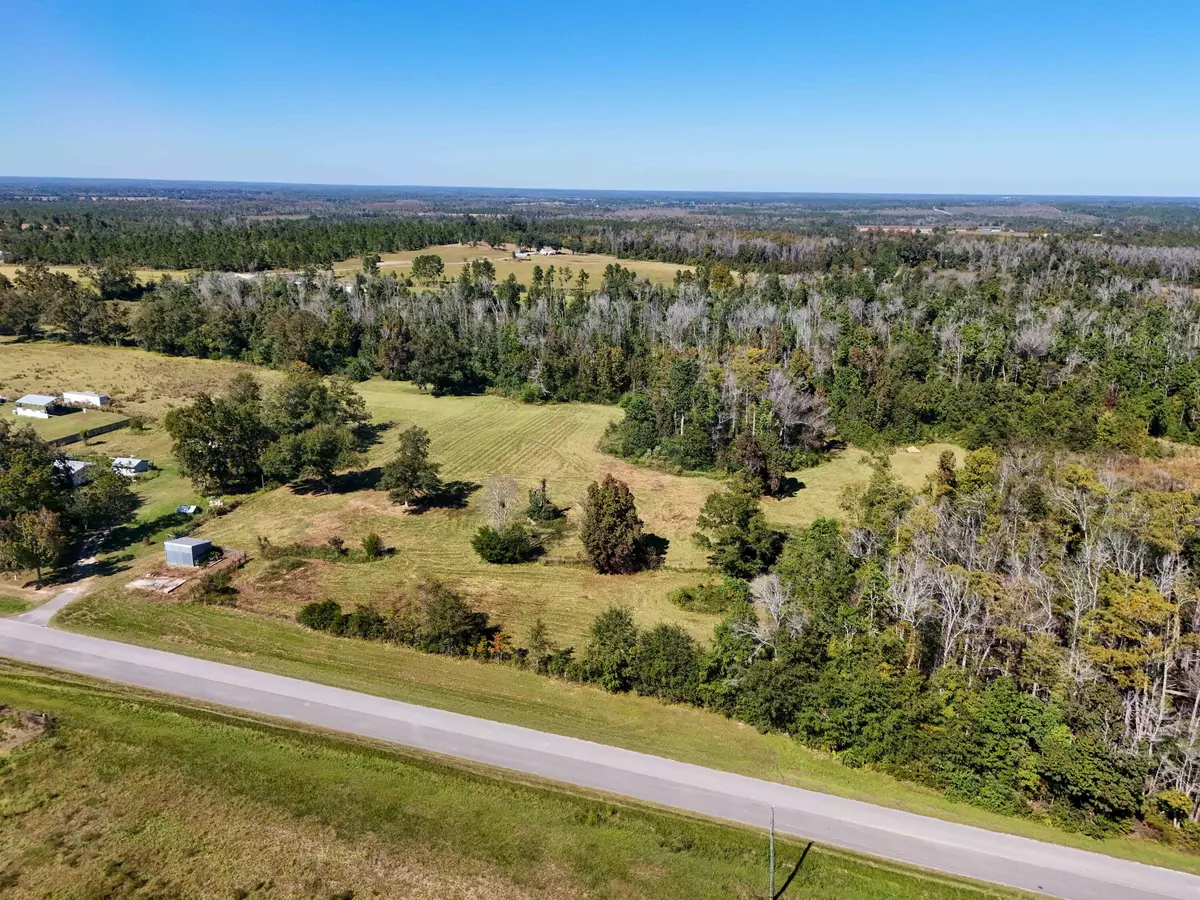 Marianna, FL 32448,13.7 Acres Alliance Road