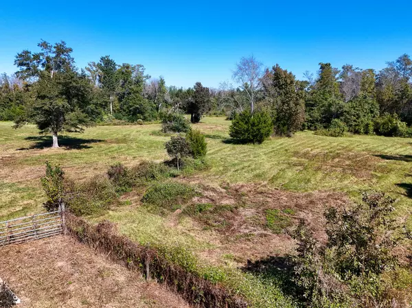 Marianna, FL 32448,13.7 Acres Alliance Road