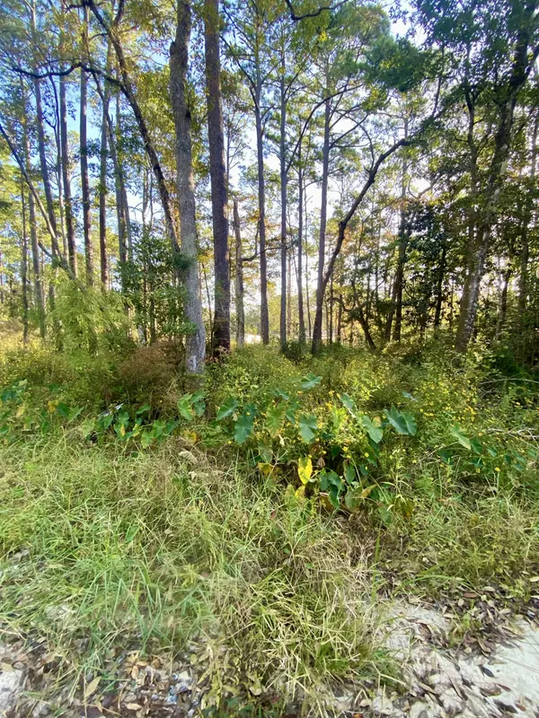 Freeport, FL 32439,Lot 32 Patela Street