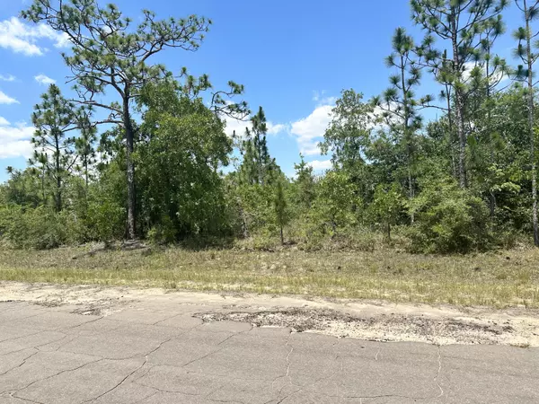 Chipley, FL 32428,LOT 45 Cavalier Drive