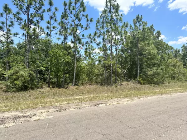 Chipley, FL 32428,LOT 45 Cavalier Drive