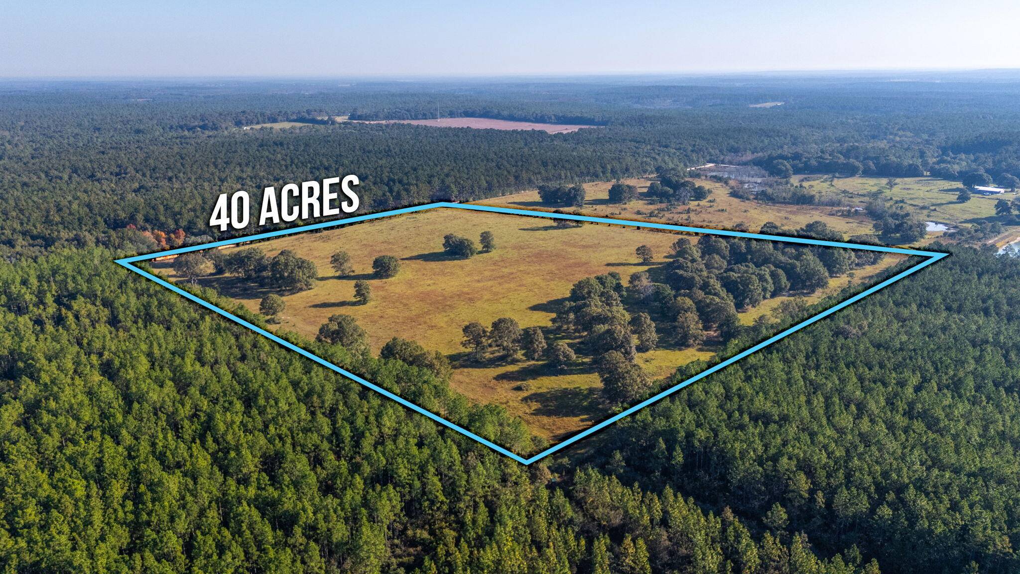Defuniak Springs, FL 32433,xx Wallace Road