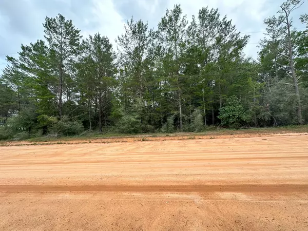 Lot 8 Meteyard Lane, Defuniak Springs, FL 32433