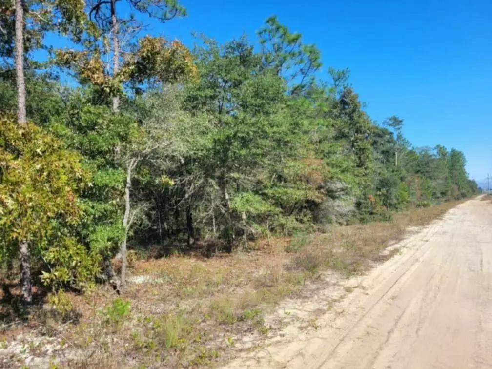 Defuniak Springs, FL 32433,Lot 1 Blk 10 Golden Rod Drive