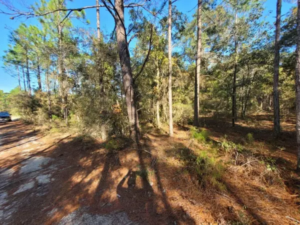 Lot 10 Blk 20 English Holly Lane, Defuniak Springs, FL 32433