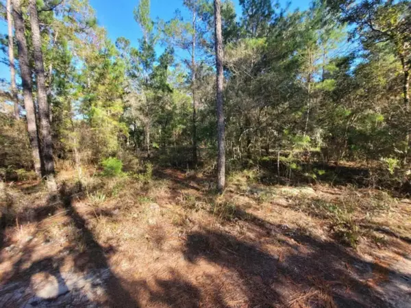 Defuniak Springs, FL 32433,Lot 10 Blk 20 English Holly Lane