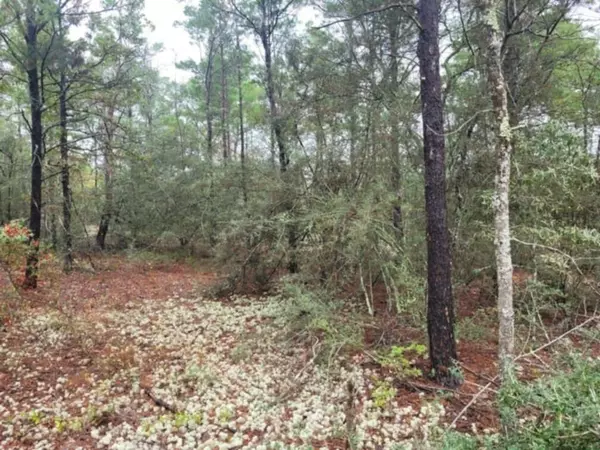 Defuniak Springs, FL 32433,Lot 12 Blk 83 Snapdragon East Street