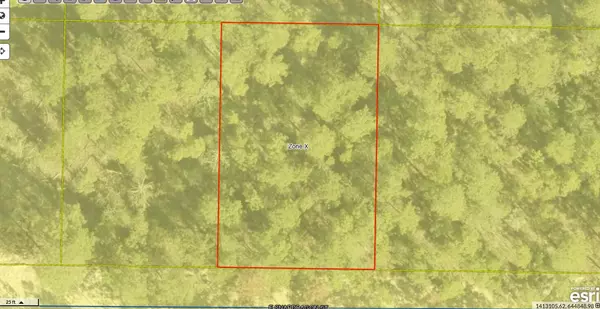 Defuniak Springs, FL 32433,Lot 2 Blk 101 E. Bluebottle Court