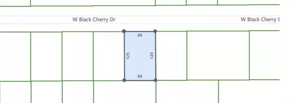 Defuniak Springs, FL 32433,Lot 20 Blk 33 W. Black Cherry Drive