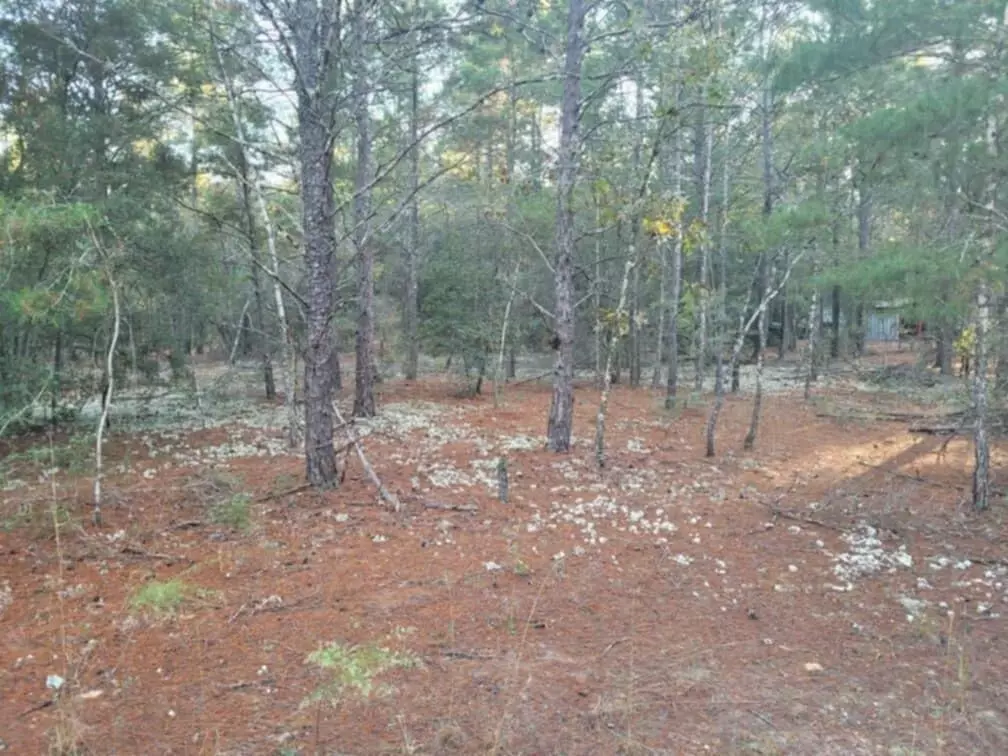 Defuniak Springs, FL 32433,Lot 27 Blk 36 E. Dogwood East Avenue