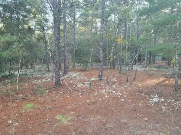 Lot 27 Blk 36 E. Dogwood East Avenue, Defuniak Springs, FL 32433