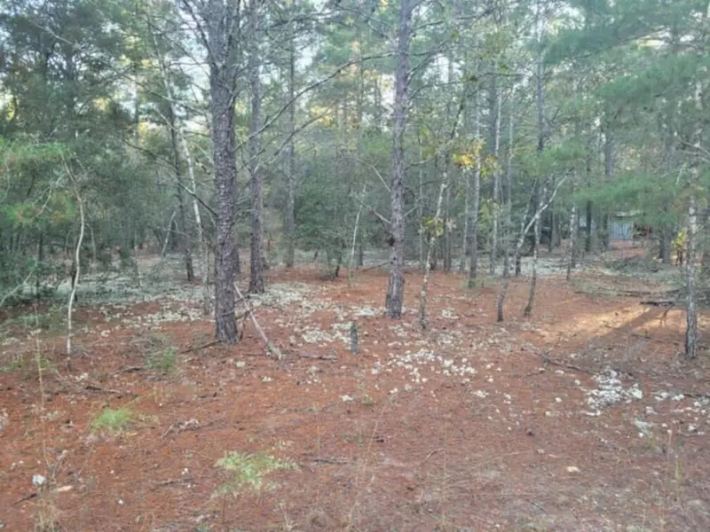 Lot 27 Blk 36 E. Dogwood East Avenue, Defuniak Springs, FL 32433
