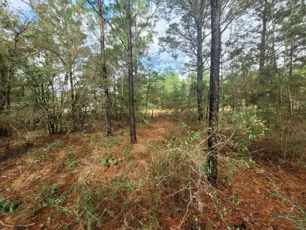 Defuniak Springs, FL 32433,Lot 4 Blk 6 E. Violet Lane