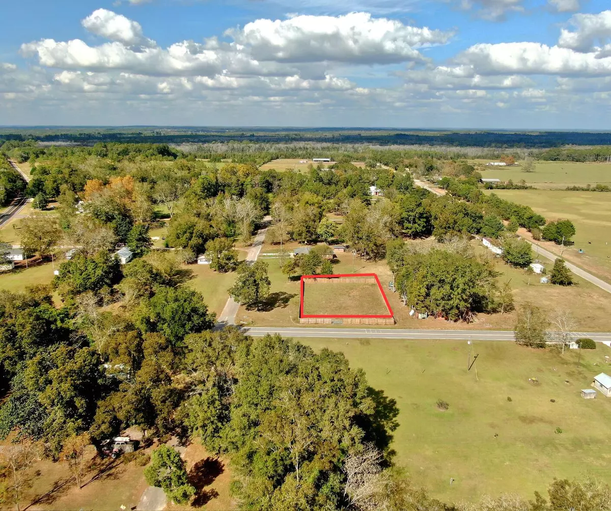 Defuniak Springs, FL 32433,LOTS 52&53 Co 183B