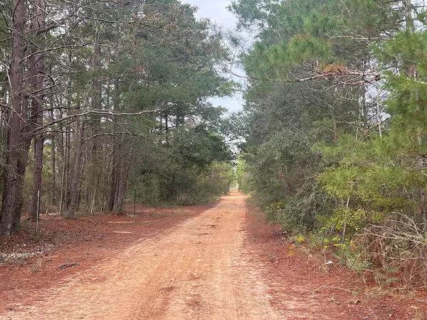 Defuniak Springs, FL 32433,1 Ac Round Table Road