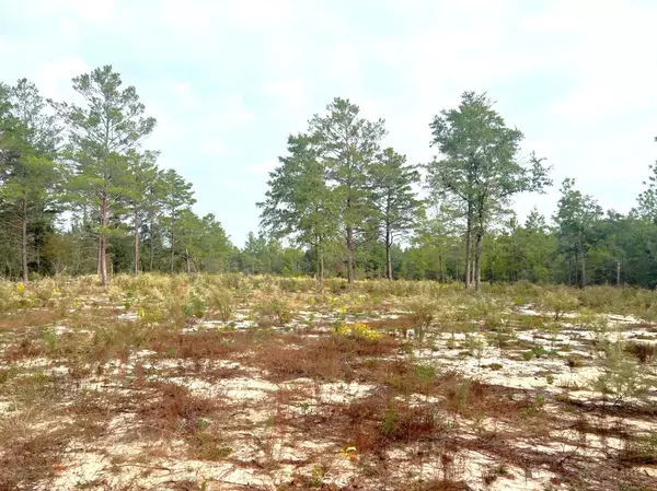 Defuniak Springs, FL 32433,1 Ac Round Table Road