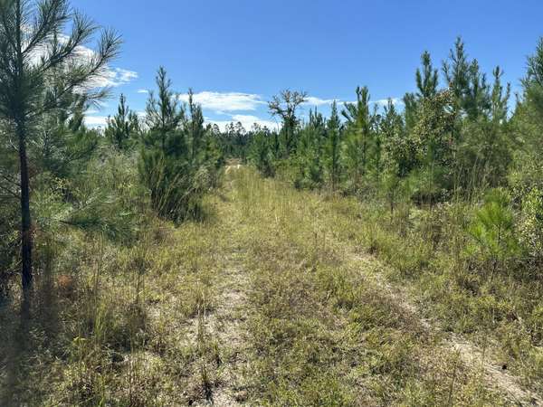 Parcel A Millside Road  #<><, Laurel Hill, FL 32567