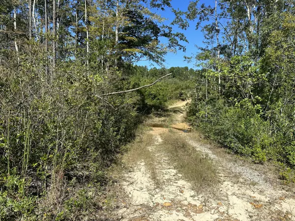 Laurel Hill, FL 32567,Parcel A Millside Road  #<><