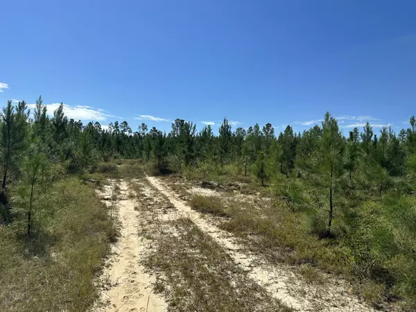 Laurel Hill, FL 32567,A and B Millside Road Parcel A & B  #<><