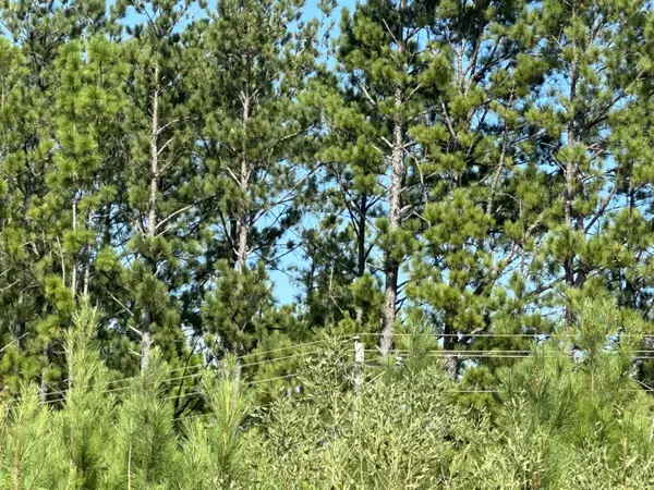 Laurel Hill, FL 32567,A and B Millside Road Parcel A & B  #<><