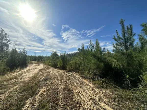 Laurel Hill, FL 32567,A and B Millside Road Parcel A & B  #<><