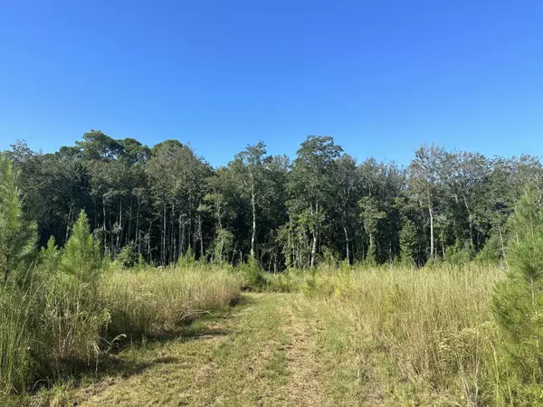 Laurel Hill, FL 32567,Parcel M Buck Tyner Road  #<><