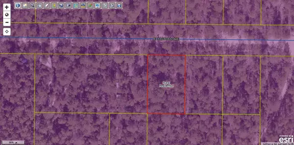 Defuniak Springs, FL 32433,LOT 26 Blk 36 E. Dogwood East Avenue