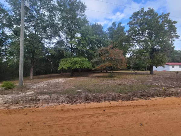 Defuniak Springs, FL 32433,2 lots W May Lilly Court