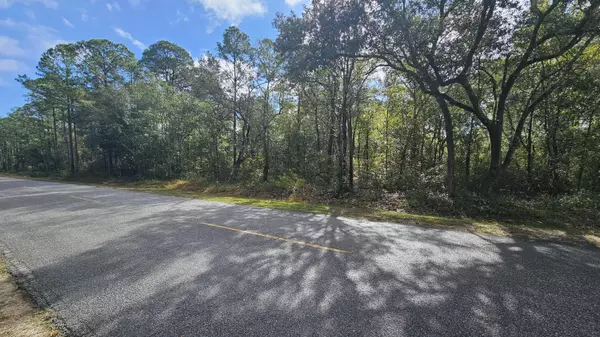 Santa Rosa Beach, FL 32459,TBD E Nursery East Road