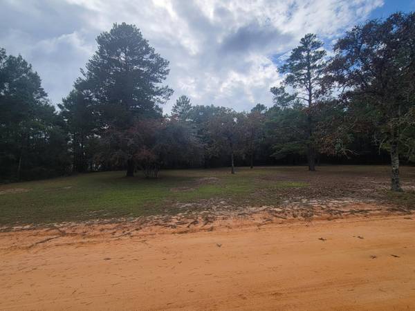 Lots16 &17 W May Lilly Court, Defuniak Springs, FL 32433