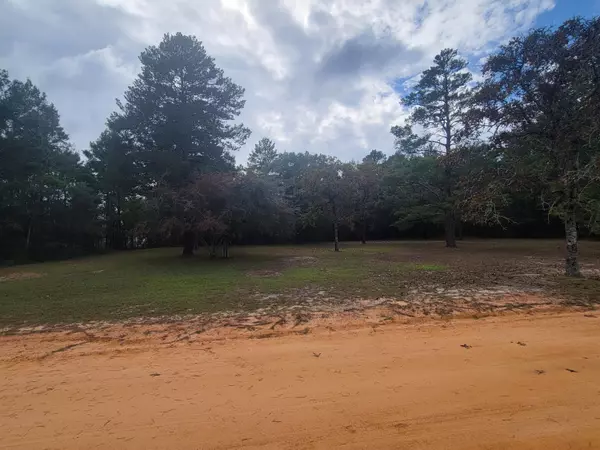 Lots16 &17 W May Lilly Court, Defuniak Springs, FL 32433