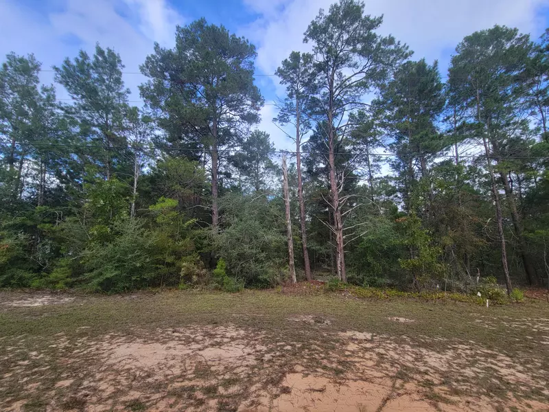 Lot 6 & 14 W May Lilly Court, Defuniak Springs, FL 32433