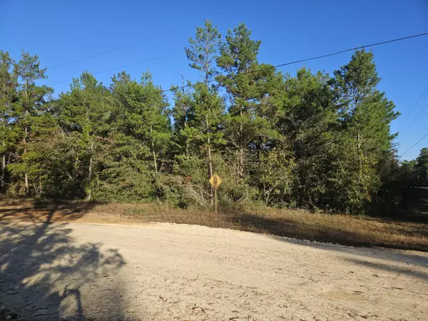 Defuniak Springs, FL 32433,Lot 1&2 May Lilly Court