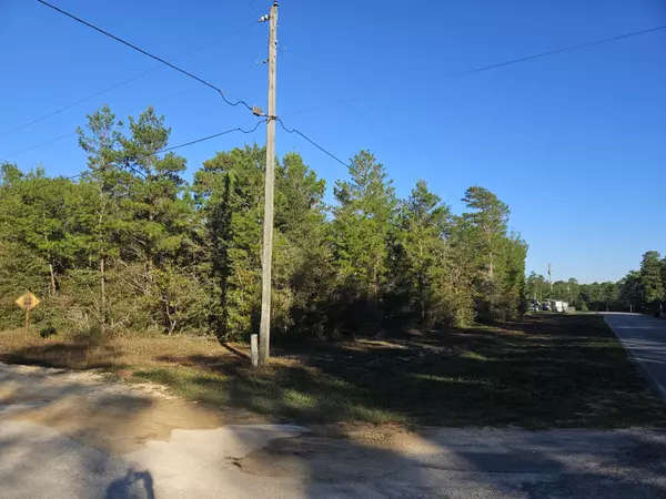 Defuniak Springs, FL 32433,Lot 1&2 May Lilly Court