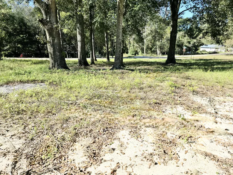 Lot 14 Bayview Drive, Laurel Hill, FL 32567