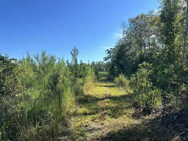 Parcel L Buck Tyner Road, Laurel Hill, FL 32567