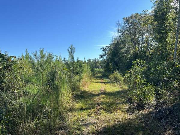 Parcel L Buck Tyner Road, Laurel Hill, FL 32567