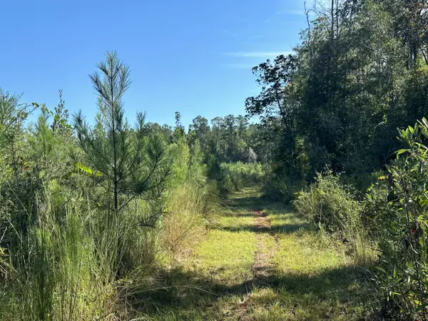 Laurel Hill, FL 32567,Parcel L Buck Tyner Road