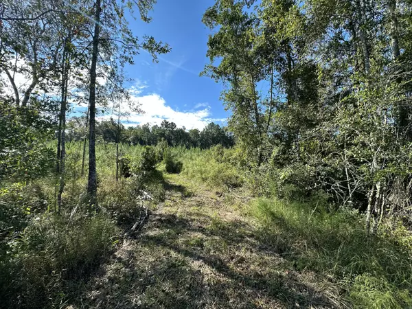 Laurel Hill, FL 32567,Parcel L Buck Tyner Road