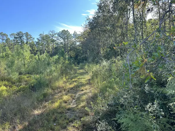 Laurel Hill, FL 32567,Parcel K&L Buck Tyner Road